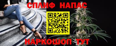 дмт Бузулук