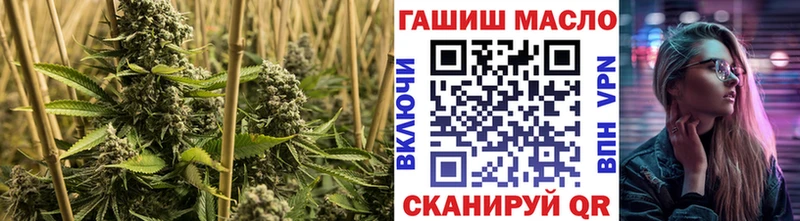 ОМГ ОМГ   Чайковский  Дистиллят ТГК гашишное масло 