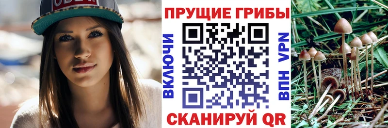Псилоцибиновые грибы Magic Shrooms  Чайковский 