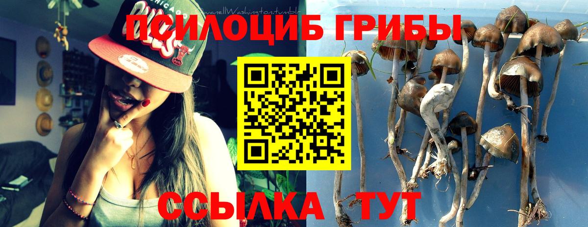 Чайковский  Псилоцибиновые грибы мухоморы  Вход с VPN 